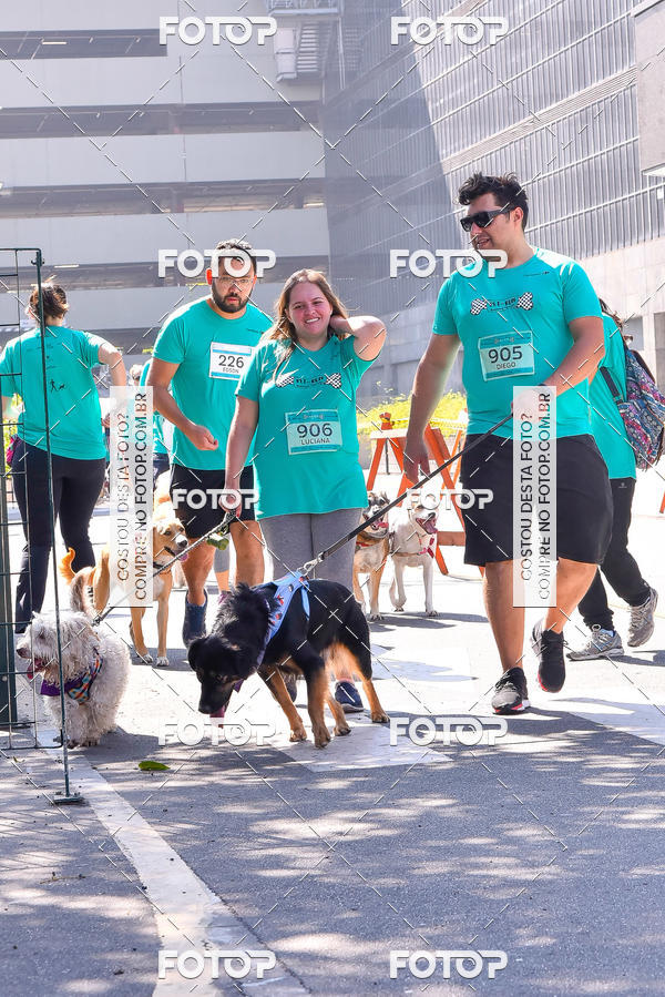 Buy your photos of the event2 Pet Run Shopping Eldorado  on Fotop