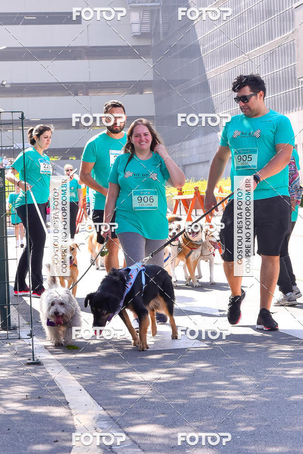 Buy your photos of the event2 Pet Run Shopping Eldorado  on Fotop