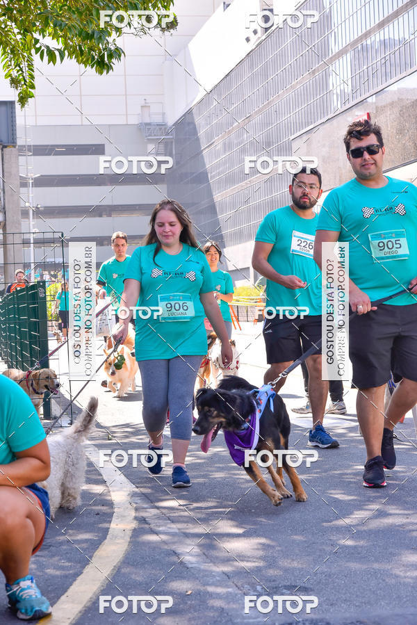 Buy your photos of the event2 Pet Run Shopping Eldorado  on Fotop
