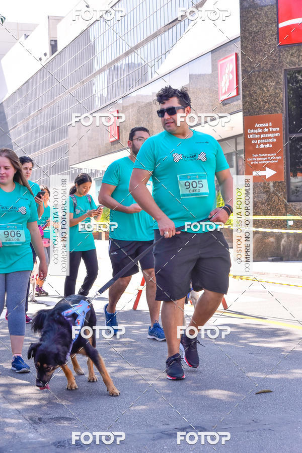 Buy your photos of the event2 Pet Run Shopping Eldorado  on Fotop