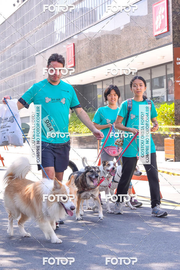Buy your photos of the event2 Pet Run Shopping Eldorado  on Fotop