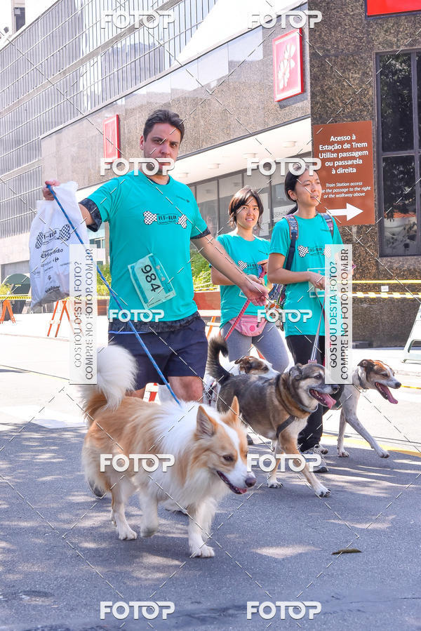 Buy your photos of the event2 Pet Run Shopping Eldorado  on Fotop