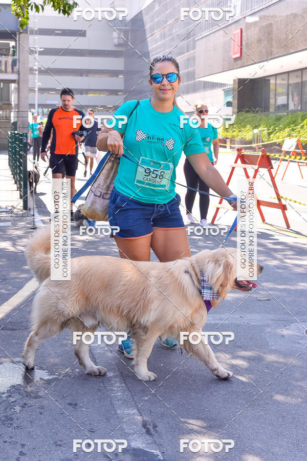 Buy your photos of the event2 Pet Run Shopping Eldorado  on Fotop