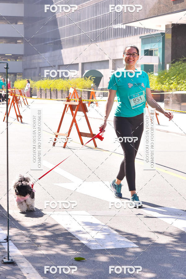 Buy your photos of the event2 Pet Run Shopping Eldorado  on Fotop