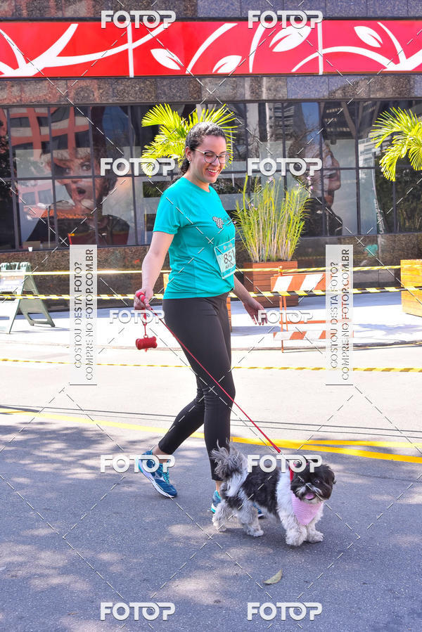 Buy your photos of the event2 Pet Run Shopping Eldorado  on Fotop