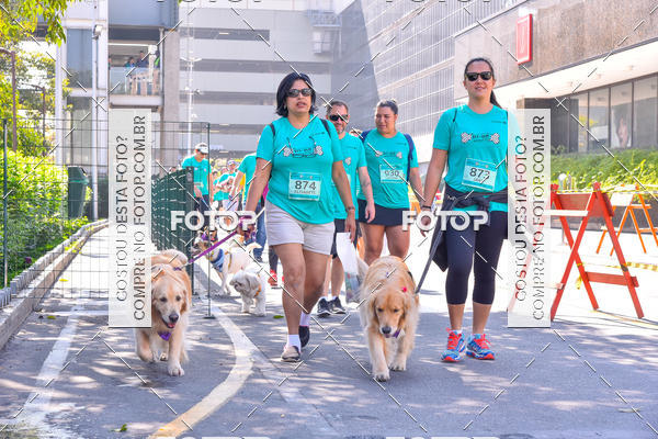 Buy your photos of the event2 Pet Run Shopping Eldorado  on Fotop
