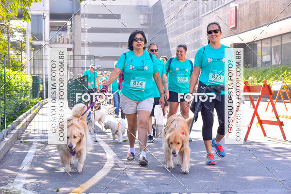 Buy your photos of the event2 Pet Run Shopping Eldorado  on Fotop