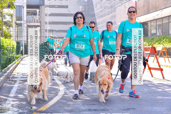 Buy your photos of the event2 Pet Run Shopping Eldorado  on Fotop