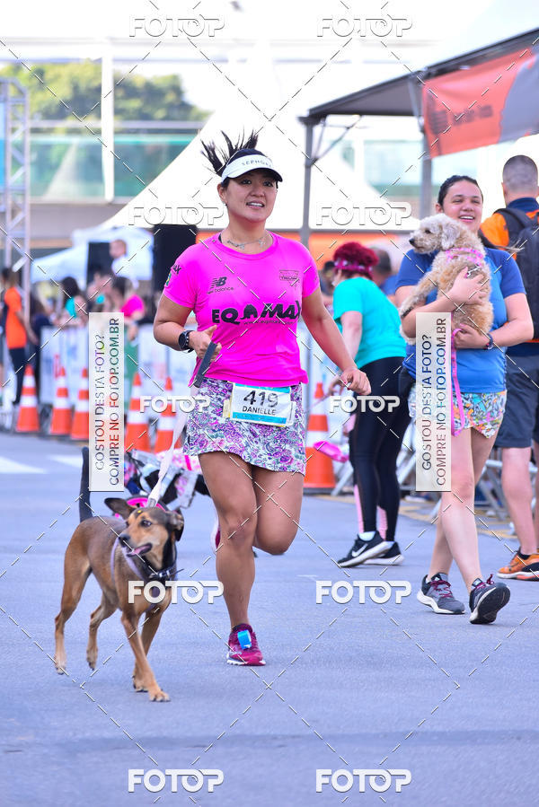 Buy your photos of the event2 Pet Run Shopping Eldorado  on Fotop