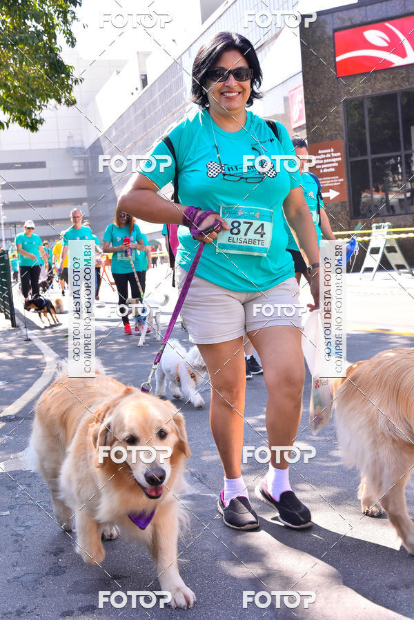 Buy your photos of the event2 Pet Run Shopping Eldorado  on Fotop