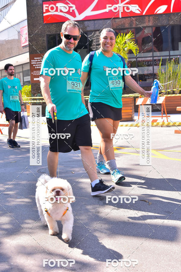 Buy your photos of the event2 Pet Run Shopping Eldorado  on Fotop