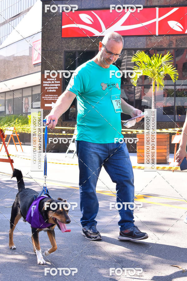 Buy your photos of the event2 Pet Run Shopping Eldorado  on Fotop