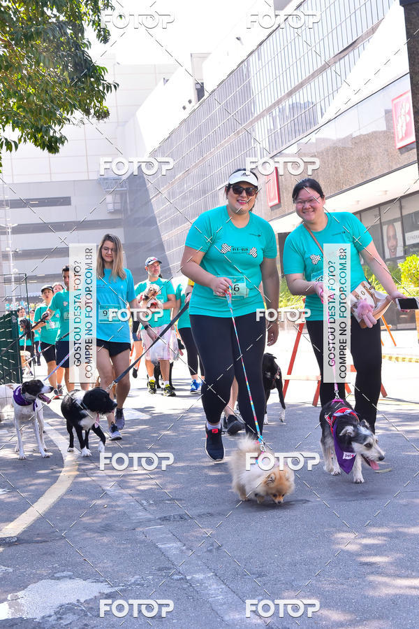 Buy your photos of the event2 Pet Run Shopping Eldorado  on Fotop