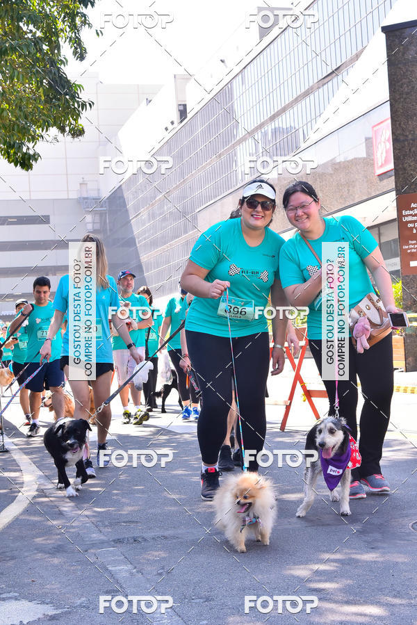 Buy your photos of the event2 Pet Run Shopping Eldorado  on Fotop