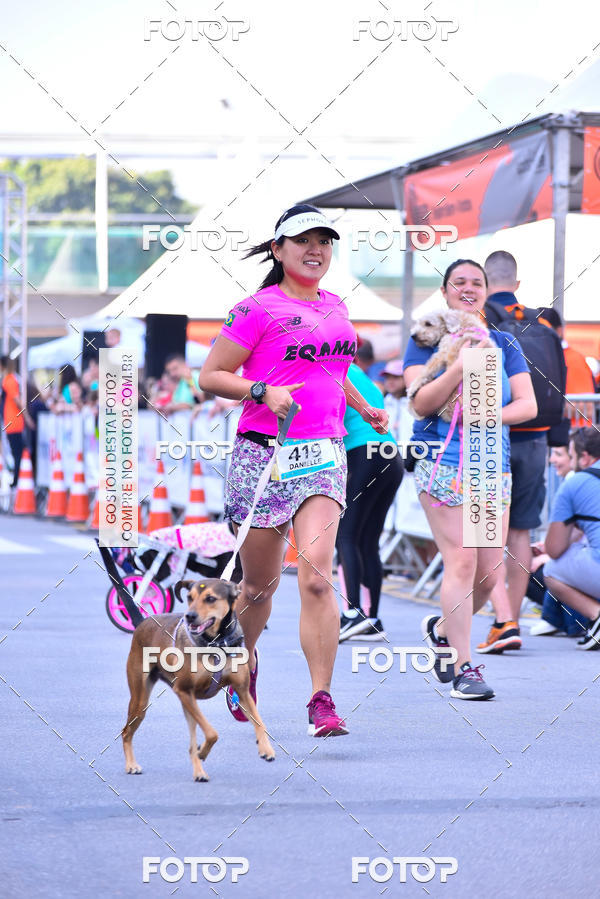 Buy your photos of the event2 Pet Run Shopping Eldorado  on Fotop