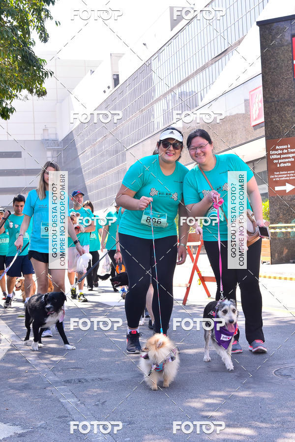 Buy your photos of the event2 Pet Run Shopping Eldorado  on Fotop
