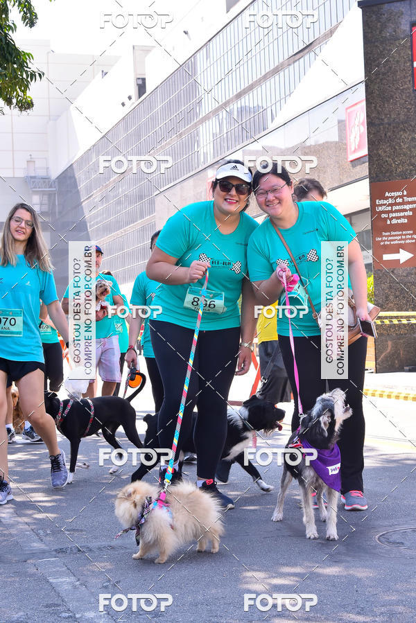 Buy your photos of the event2 Pet Run Shopping Eldorado  on Fotop
