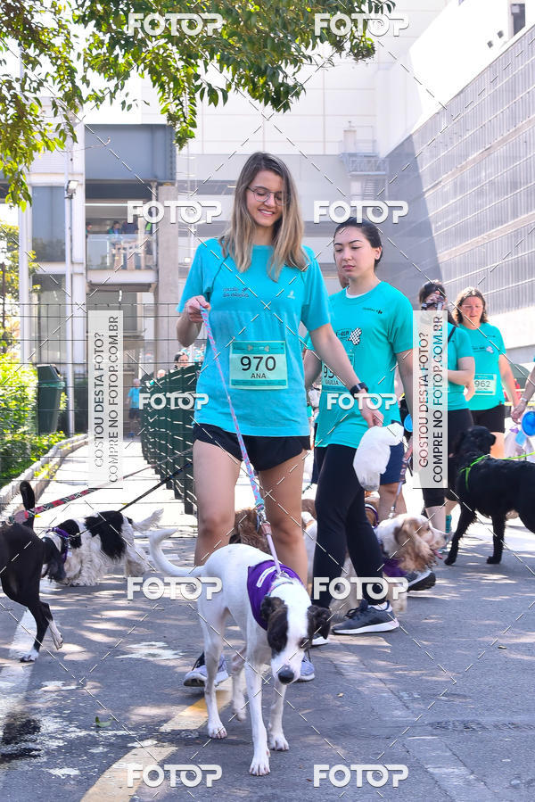 Buy your photos of the event2 Pet Run Shopping Eldorado  on Fotop