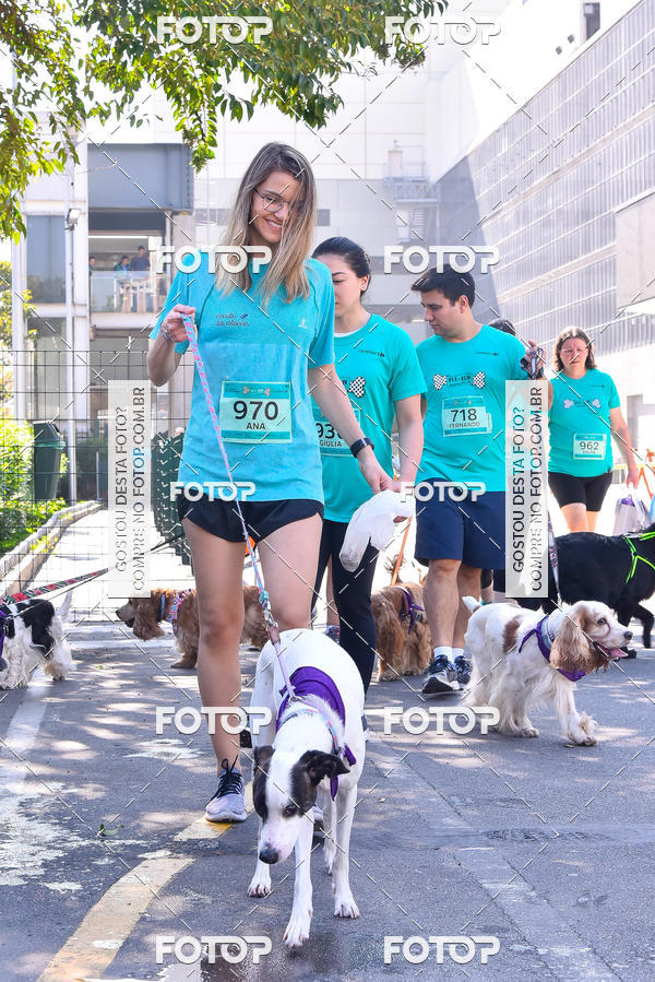 Buy your photos of the event2 Pet Run Shopping Eldorado  on Fotop