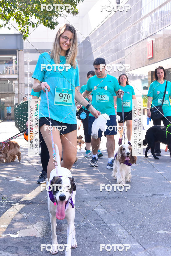 Buy your photos of the event2 Pet Run Shopping Eldorado  on Fotop