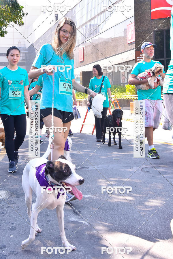 Buy your photos of the event2 Pet Run Shopping Eldorado  on Fotop