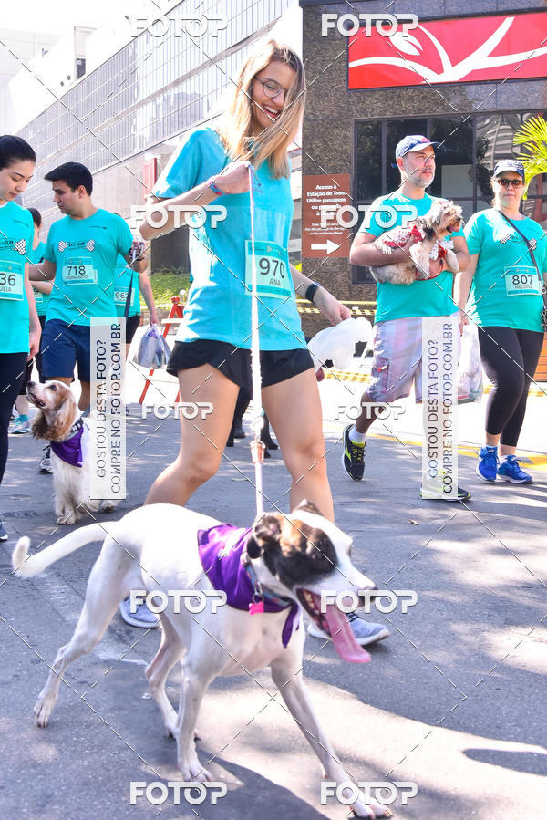Buy your photos of the event2 Pet Run Shopping Eldorado  on Fotop
