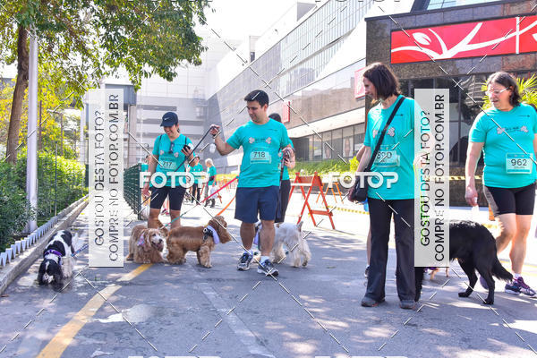 Buy your photos of the event2 Pet Run Shopping Eldorado  on Fotop