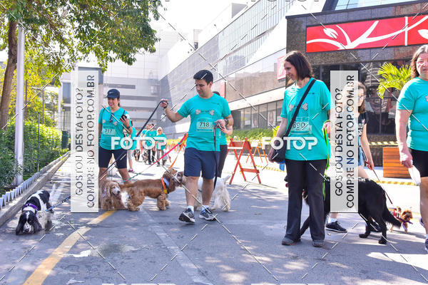 Buy your photos of the event2 Pet Run Shopping Eldorado  on Fotop