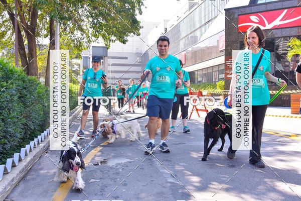 Buy your photos of the event2 Pet Run Shopping Eldorado  on Fotop