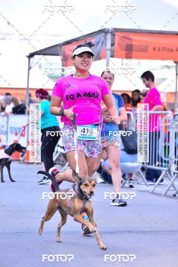 Buy your photos of the event2 Pet Run Shopping Eldorado  on Fotop