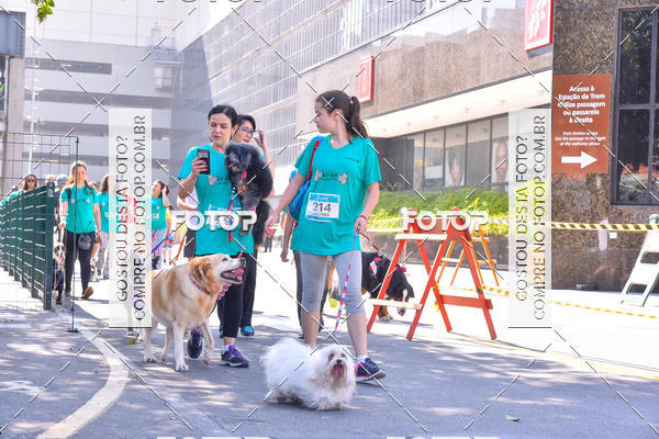 Buy your photos of the event2 Pet Run Shopping Eldorado  on Fotop