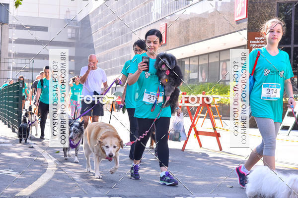 Buy your photos of the event2 Pet Run Shopping Eldorado  on Fotop