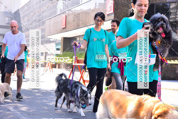 Buy your photos of the event2 Pet Run Shopping Eldorado  on Fotop