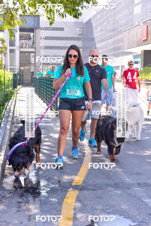 Buy your photos of the event2 Pet Run Shopping Eldorado  on Fotop