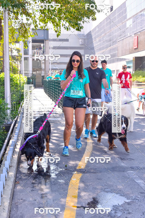 Buy your photos of the event2 Pet Run Shopping Eldorado  on Fotop