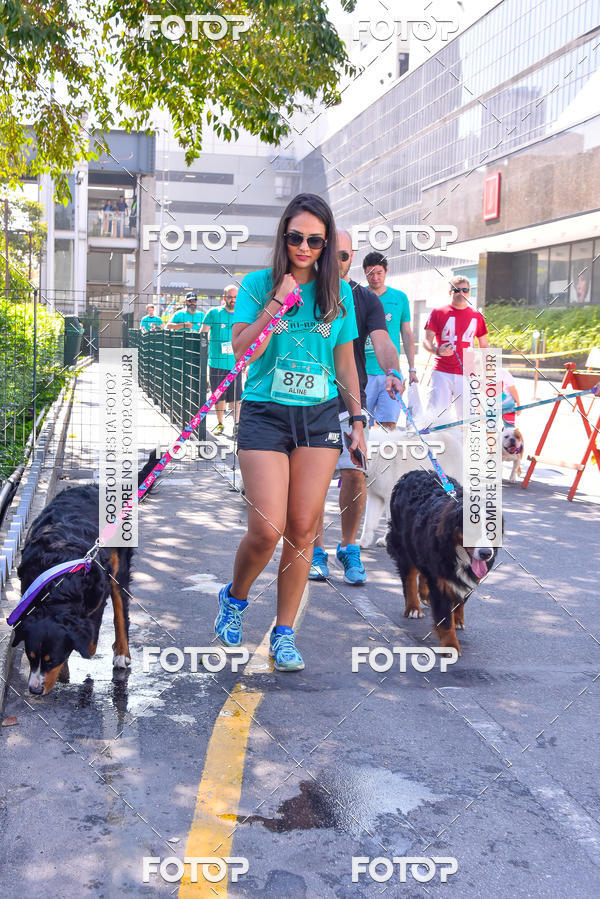 Buy your photos of the event2 Pet Run Shopping Eldorado  on Fotop