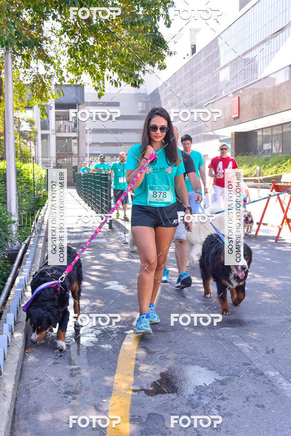 Buy your photos of the event2 Pet Run Shopping Eldorado  on Fotop