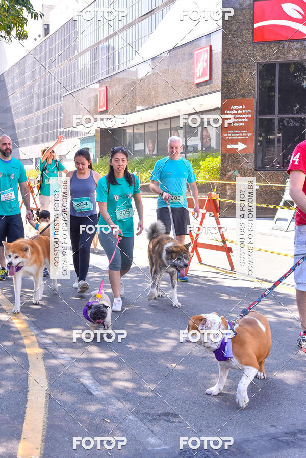 Buy your photos of the event2 Pet Run Shopping Eldorado  on Fotop