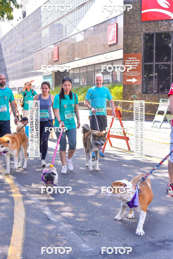 Buy your photos of the event2 Pet Run Shopping Eldorado  on Fotop