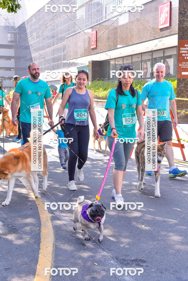 Buy your photos of the event2 Pet Run Shopping Eldorado  on Fotop