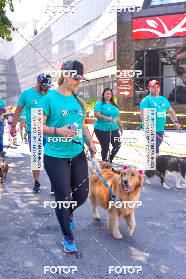Buy your photos of the event2 Pet Run Shopping Eldorado  on Fotop