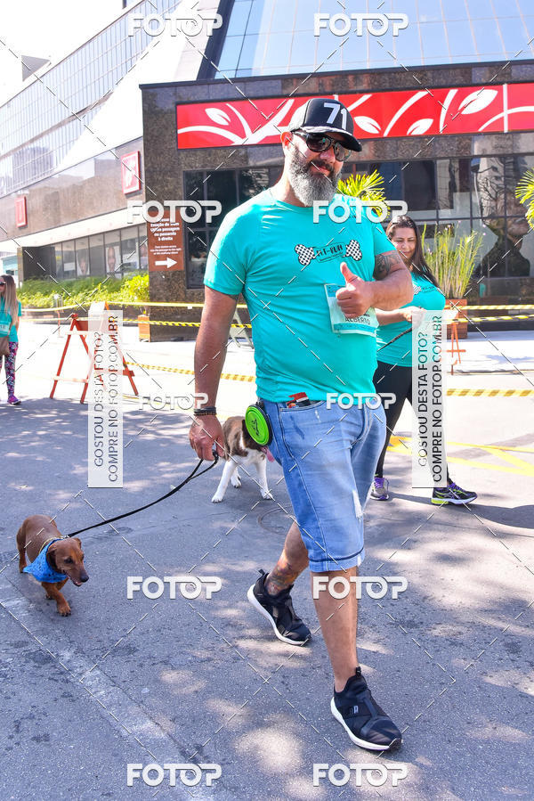 Buy your photos of the event2 Pet Run Shopping Eldorado  on Fotop