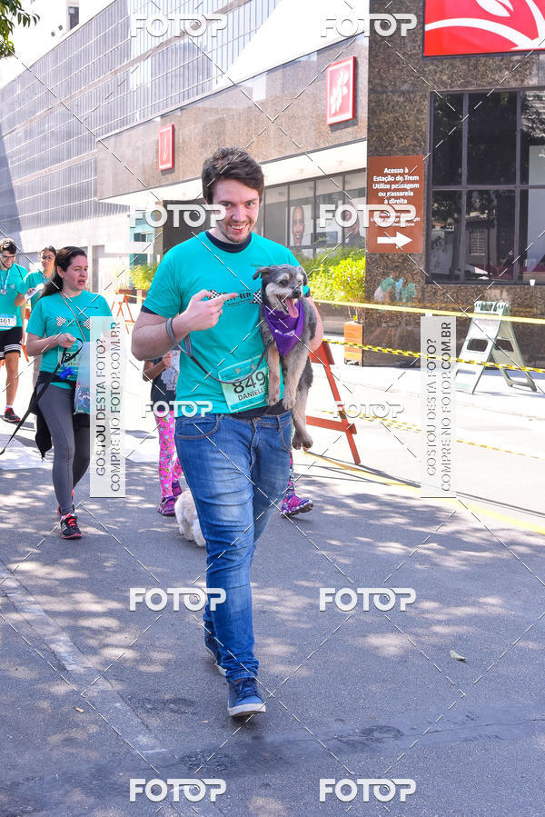 Buy your photos of the event2 Pet Run Shopping Eldorado  on Fotop