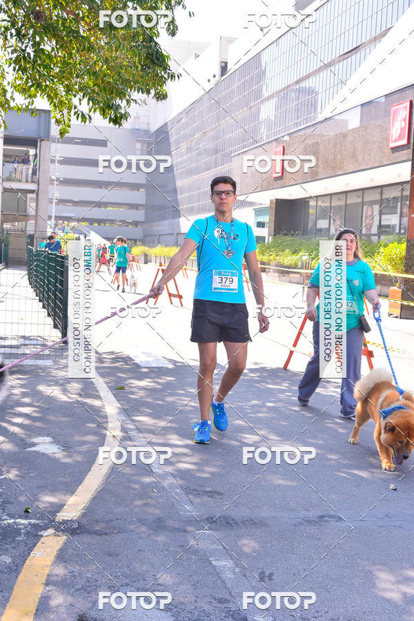 Buy your photos of the event2 Pet Run Shopping Eldorado  on Fotop