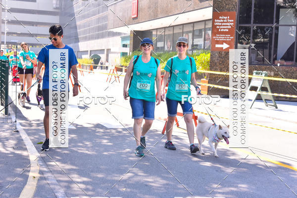 Buy your photos of the event2 Pet Run Shopping Eldorado  on Fotop