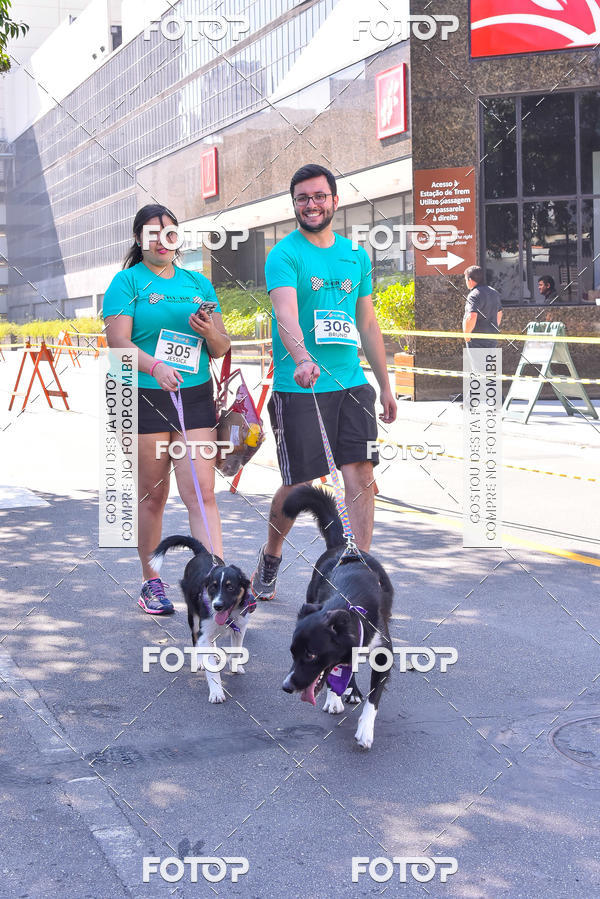Buy your photos of the event2 Pet Run Shopping Eldorado  on Fotop