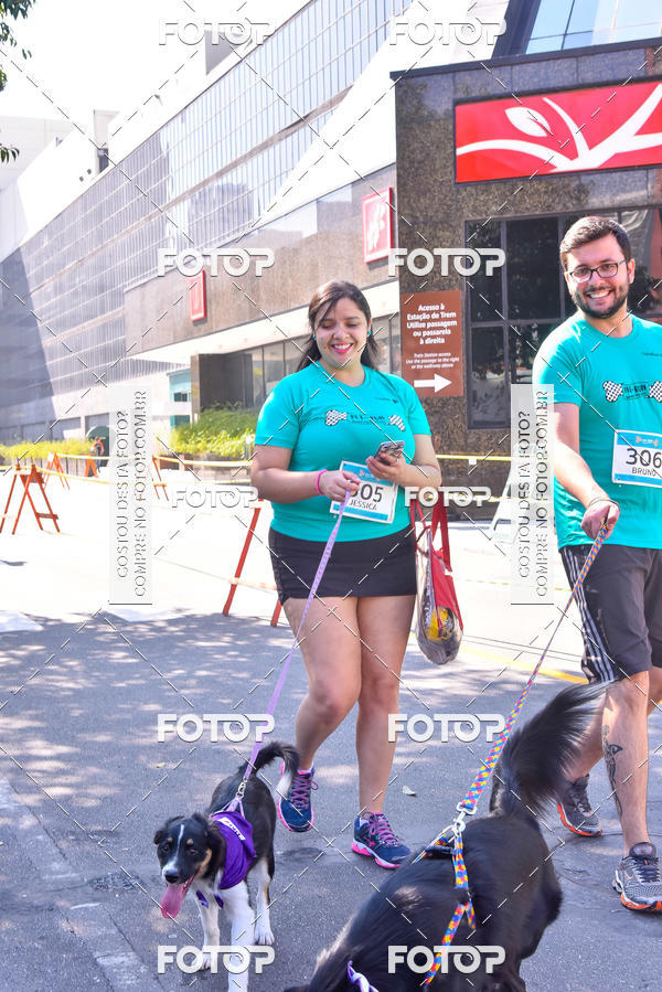 Buy your photos of the event2 Pet Run Shopping Eldorado  on Fotop
