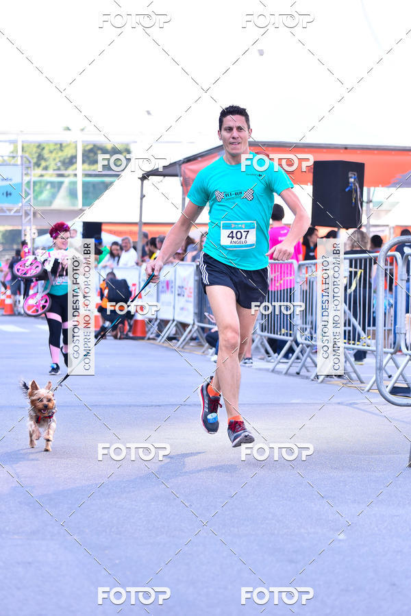 Buy your photos of the event2 Pet Run Shopping Eldorado  on Fotop