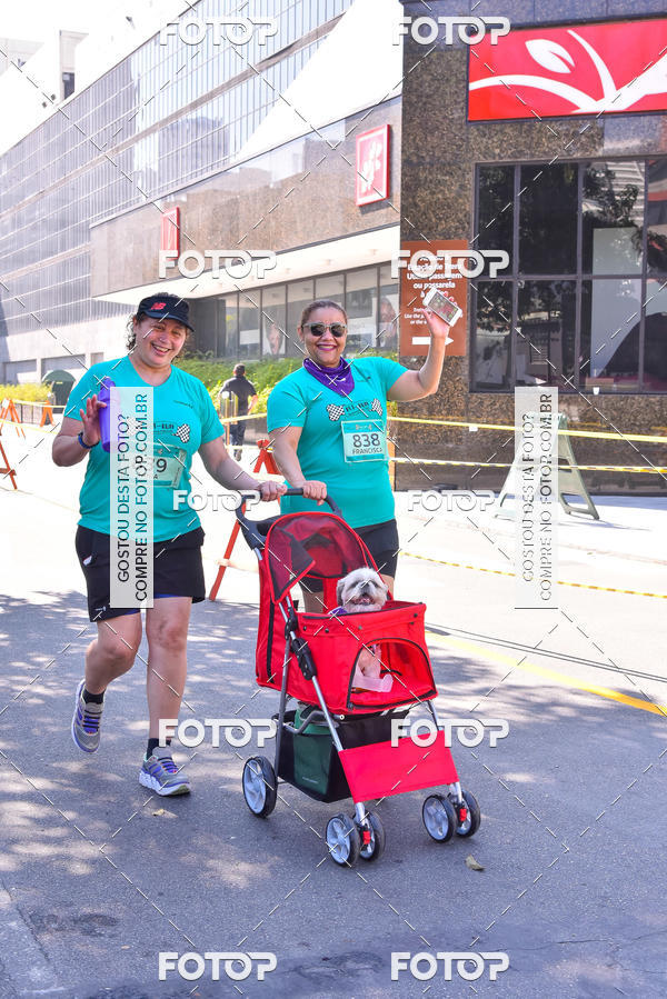 Buy your photos of the event2 Pet Run Shopping Eldorado  on Fotop