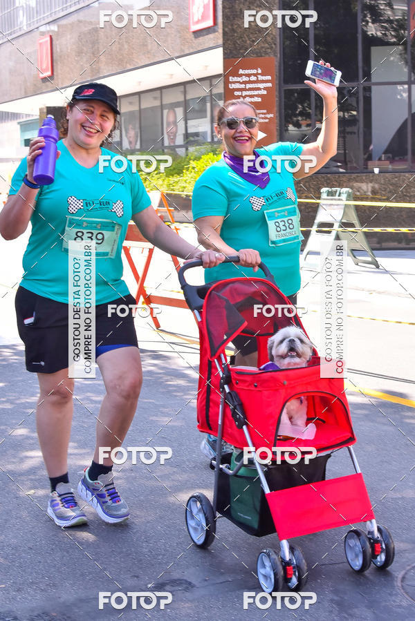 Buy your photos of the event2 Pet Run Shopping Eldorado  on Fotop